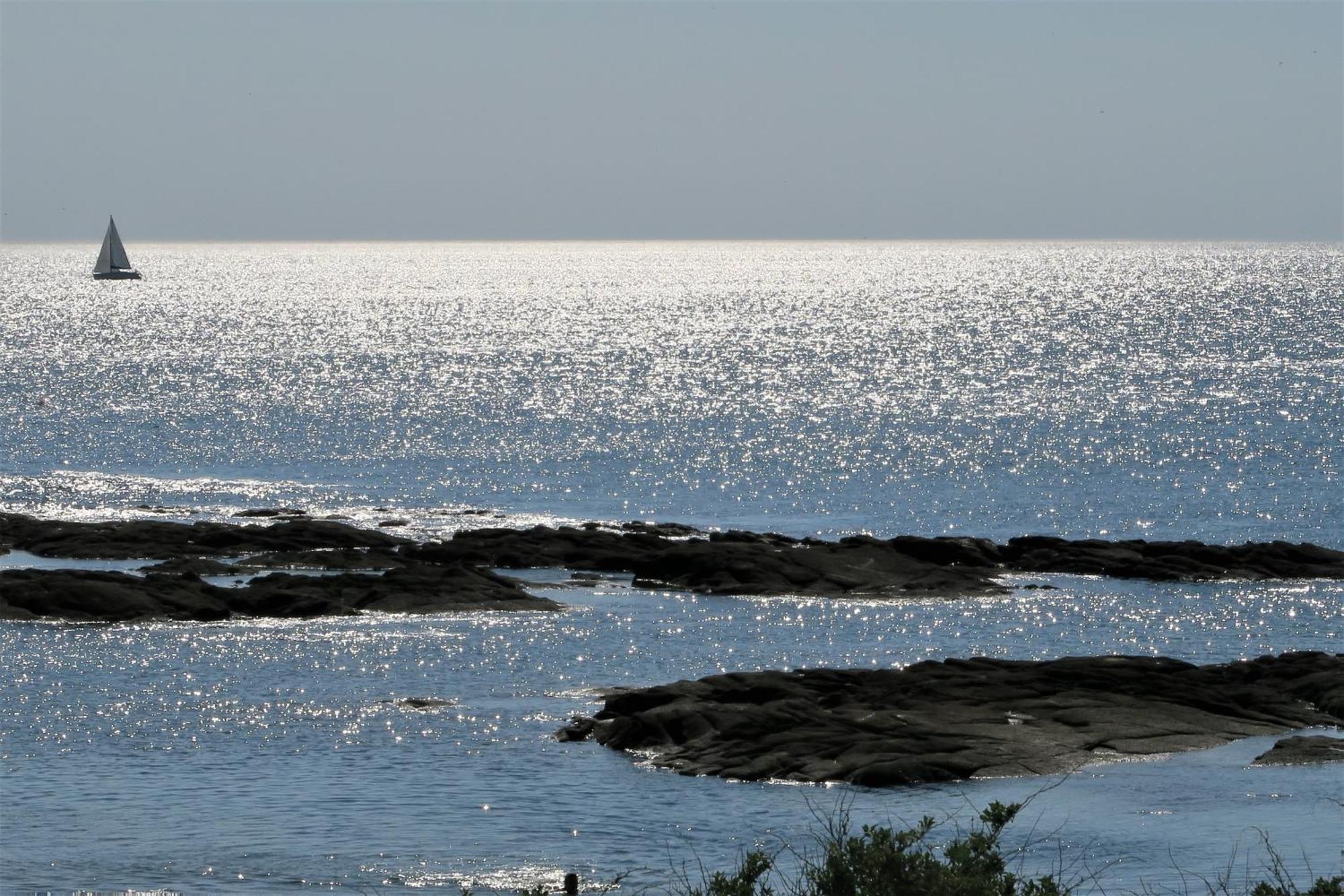 Vitamin Sea La Turballe Esterno foto